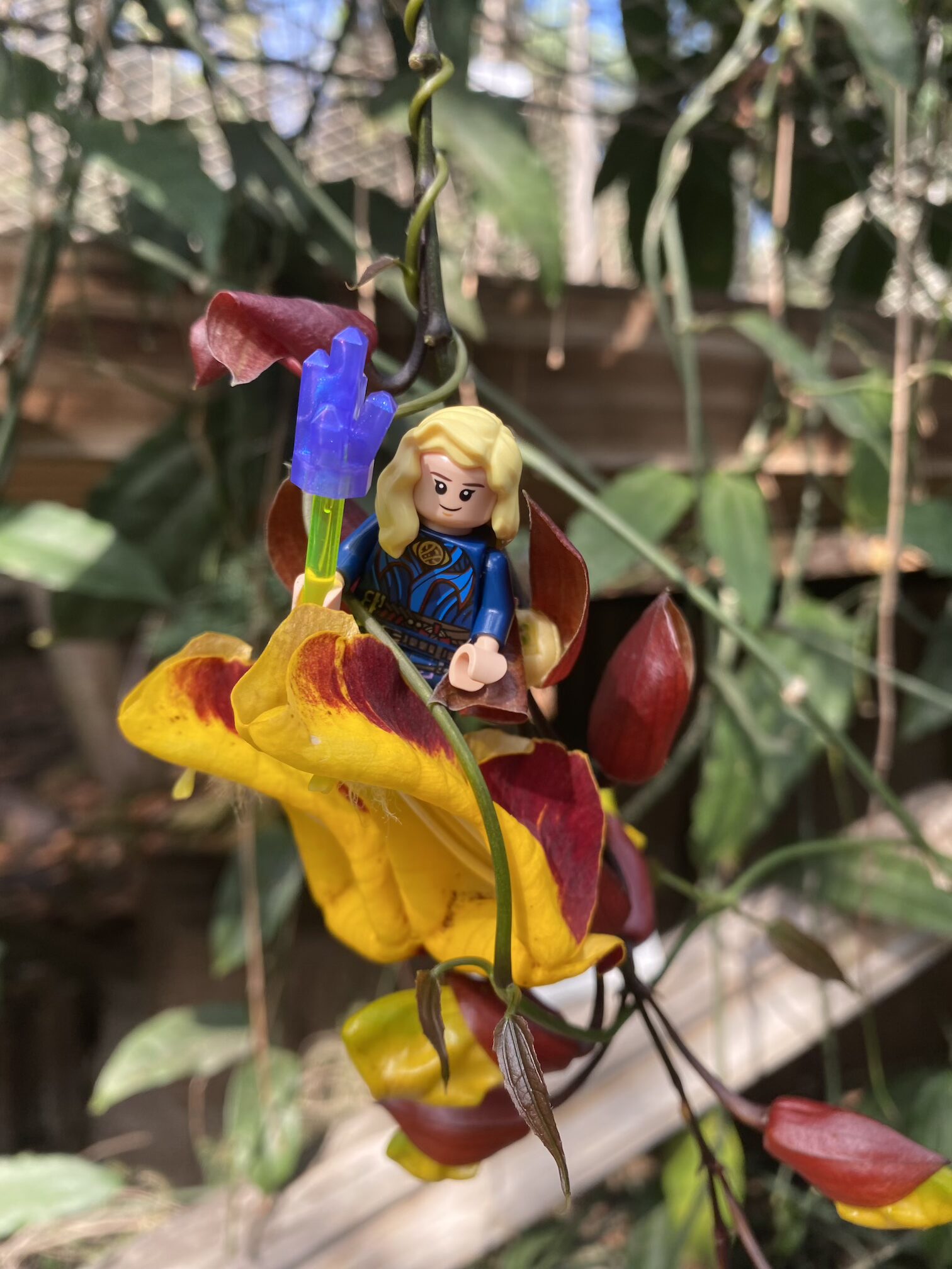 C91CBBEC-D01C-4A31-AE07-0FB62D02F433