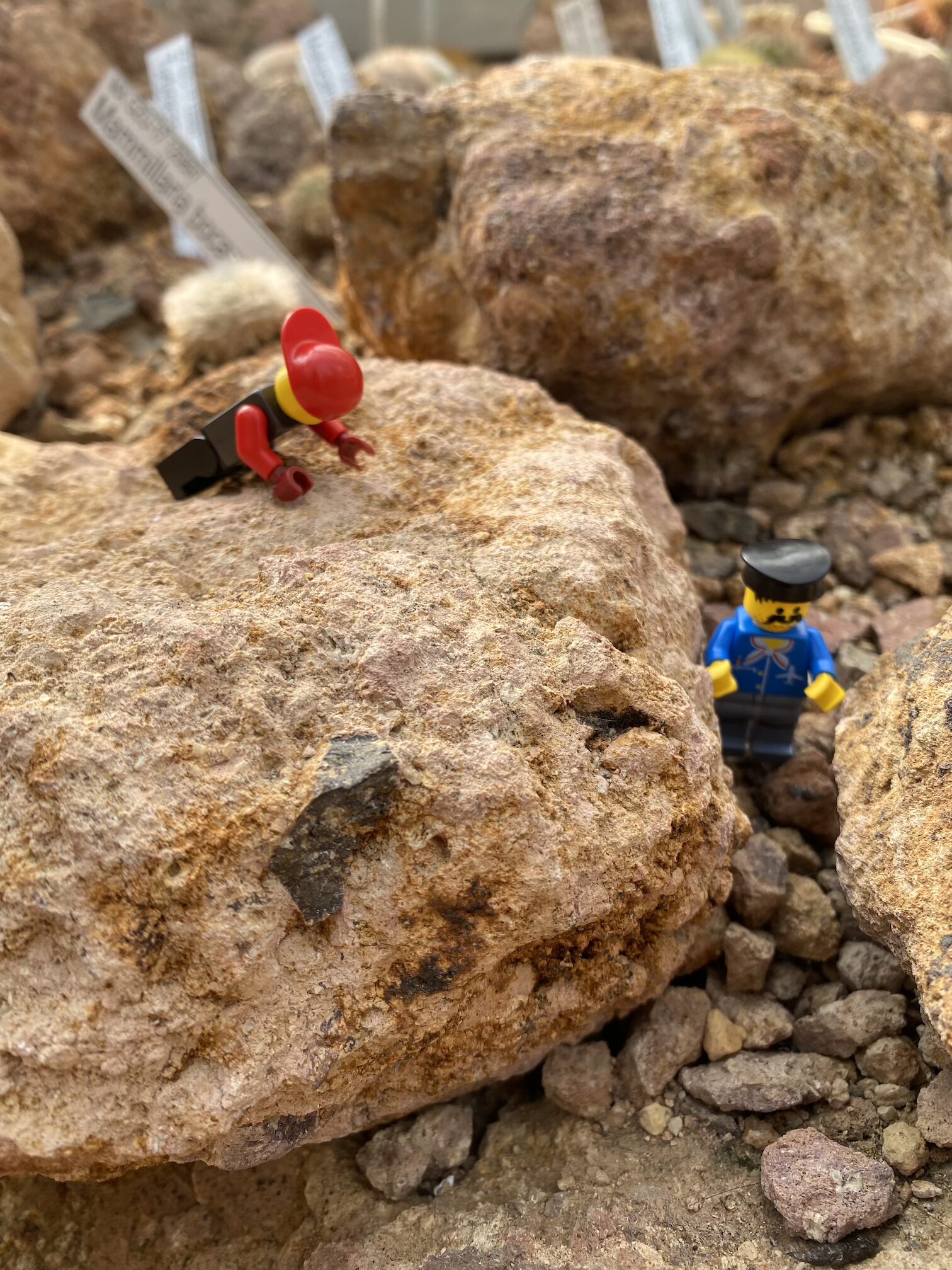 F3E10C20-F695-43B9-A710-2003C45F292C